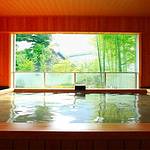 Public Spa photo