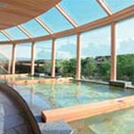 Public Spa photo