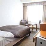 Western style room photo