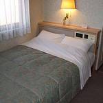 Western style room photo