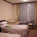 Western style room photo