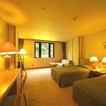 Western style room photo