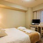 Western style room photo