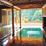 Public Spa photo