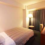 Western style room photo