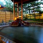 Public Spa photo