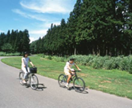 APA Hotel & Resort Joetsu-Myoko photo