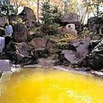 Public open-air bath photo