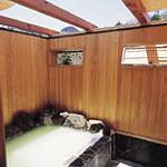 Public open-air bath photo