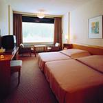 Guestroom photo