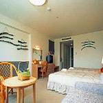 Western style room photo