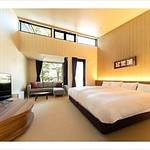Guestroom photo