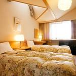 Western style room photo