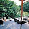 Teteshina Shinyu Onsen cover image