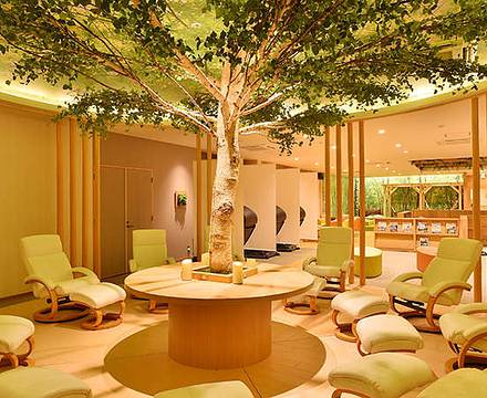 Tateshina Grand Hotel Takinoyu photo