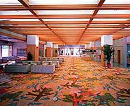 Tateyama Prince Hotel photo