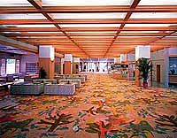 Hotel photo photo