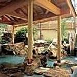 Public Open-air bath photo