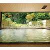 Yumoto Hotel Achikawa cover image