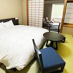 Guestroom photo
