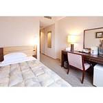 Guestroom photo