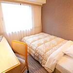 Western style room photo