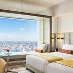 Western style room photo