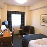 Western style room photo