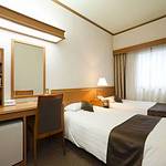 Western style room photo