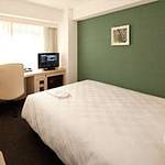 Western style room photo