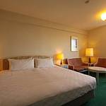 Western style room photo