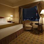 Western style room photo