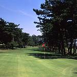 Golf course photo