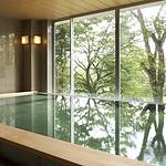 Public Main bath photo