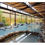 Public Spa photo