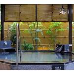 Public Spa photo