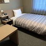 Guestroom photo