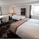 Guestroom photo