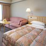 Guestroom photo
