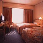 Guestroom photo