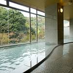 Public Spa photo