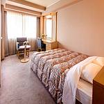 Guestroom photo