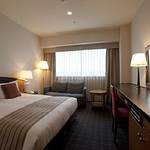 Guestroom photo