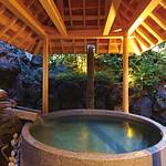 Public Spa photo