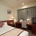 Guestroom photo