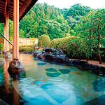 Public Spa photo
