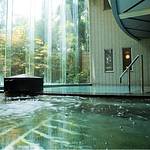 Public Spa photo