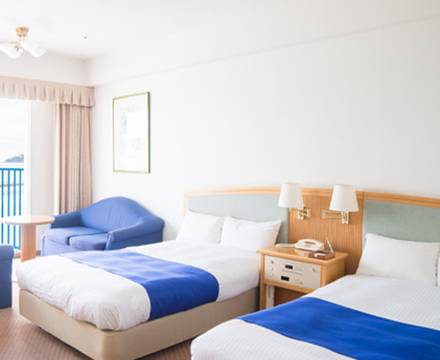 The Hotel Limani photo