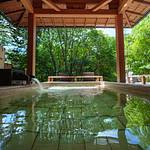Public Spa photo