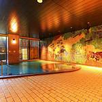 Public Spa photo